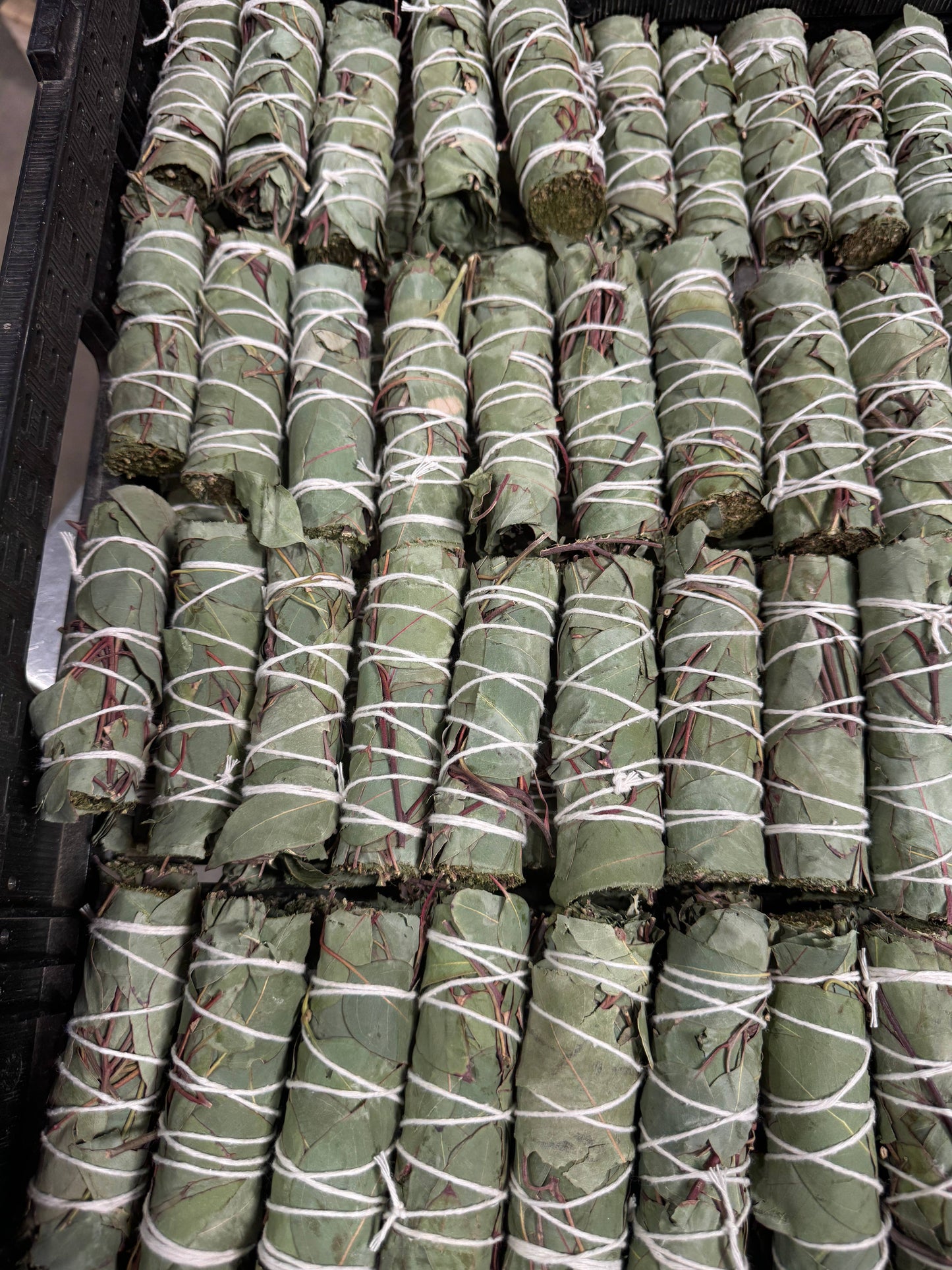 Eucalyptus Herb Wands, Eucalyptus Leaf Bundle
