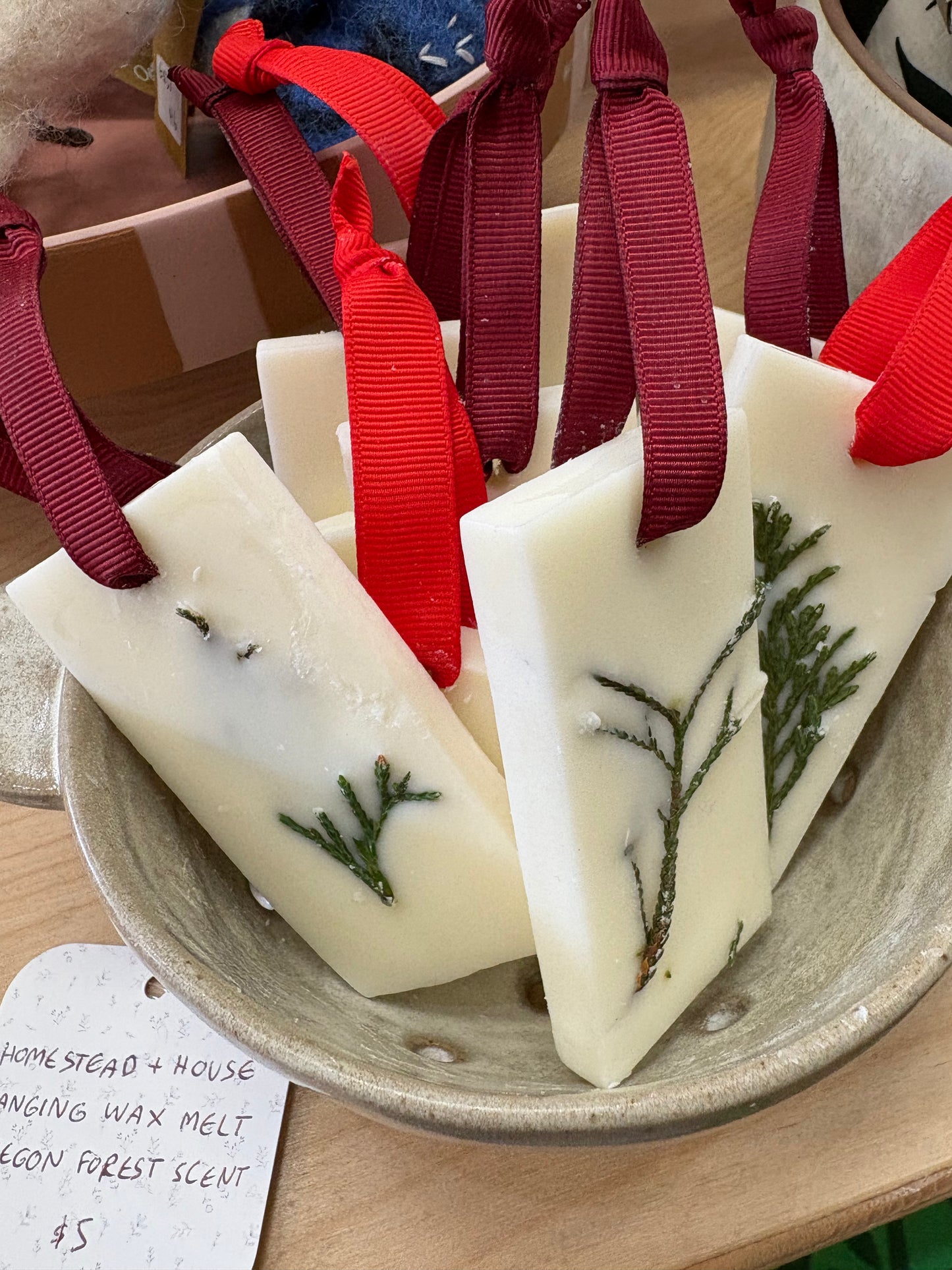 Oregon Forest Wax Melt Ornament | Tree Hanging Wax Melt