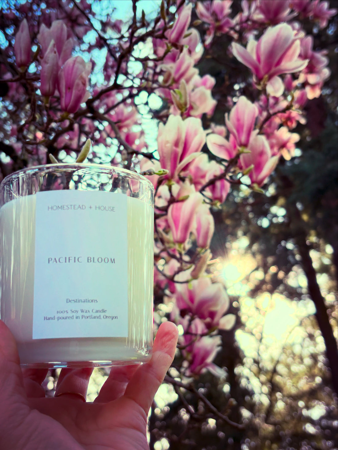 Pacific Bloom Candle from Homestead + House PDX