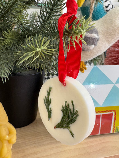 Oregon Forest Wax Melt Ornament | Tree Hanging Wax Melt
